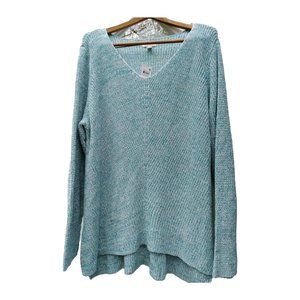NEW Style & Co Women Plus Size 3X Sweater V-Neck Cotton Light Green Color